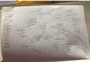 pacific calm logo design brain storming & word mapping